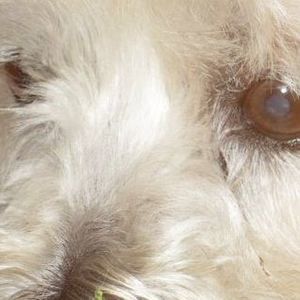 Meet your Posher, Doris